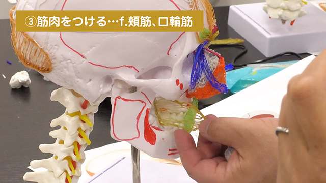 リンパマッサージ師になりたい方へ【リンパ療法学院監修】